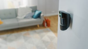 ALARM Residential Theft Protection